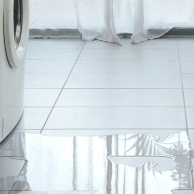 Appliance Leak Cleanup in Durand, MI