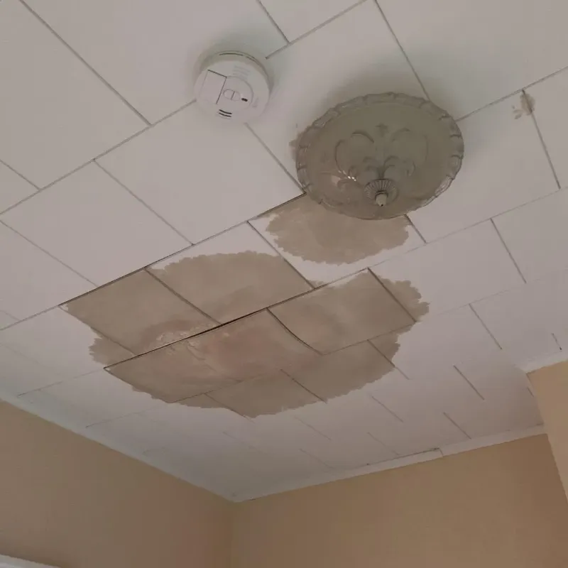 Ceiling Water Damage Repair in Durand, MI
