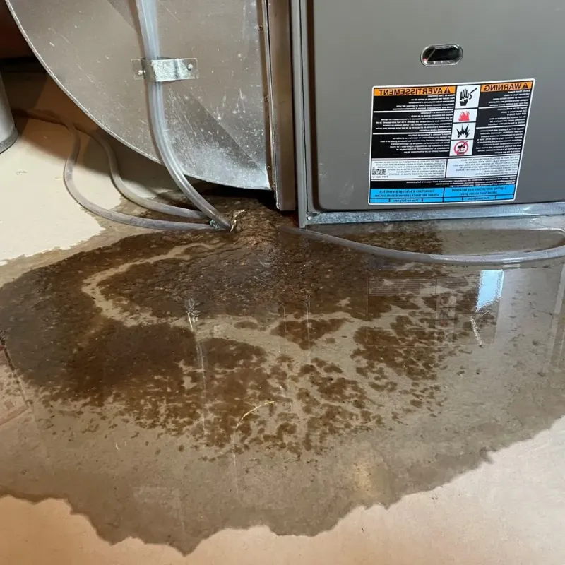 Pipe Burst and Leak Restoration in Durand, MI