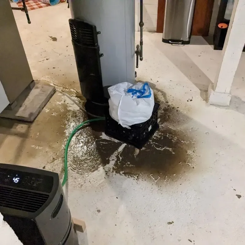 Sewage Backup Cleanup Service in Durand, MI